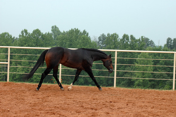 DSC_0078.JPG