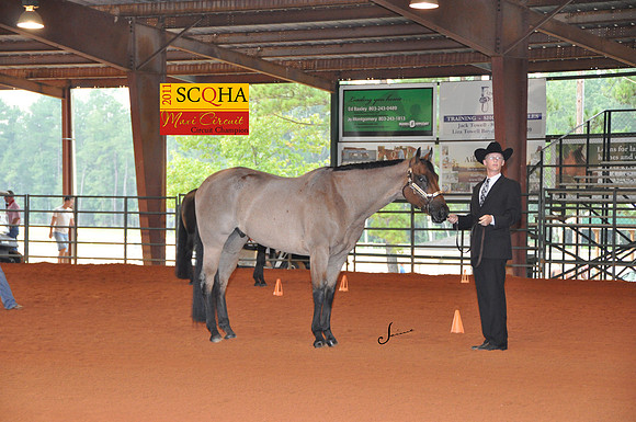 DSC_0013 copy