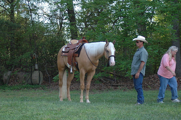 DSC_0065.JPG