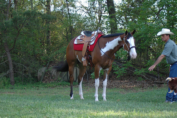 DSC_0041.JPG