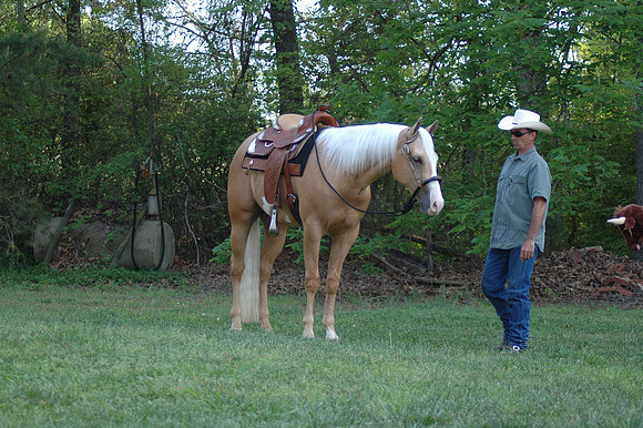 DSC_0068.JPG