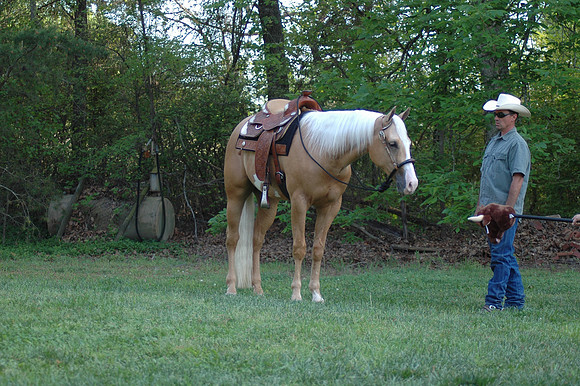 DSC_0071.JPG