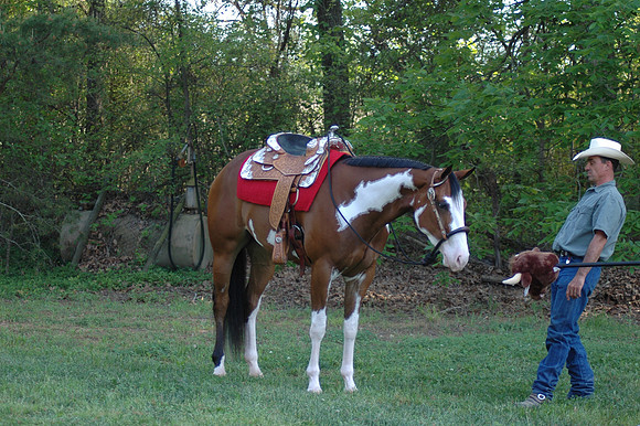 DSC_0053.JPG