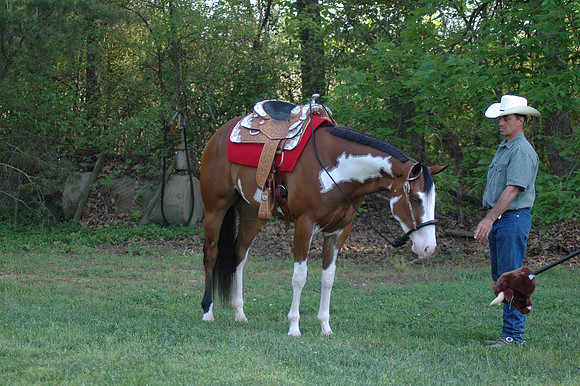 DSC_0050.JPG