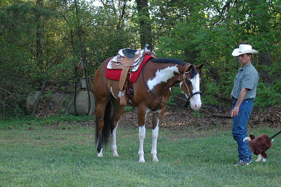 DSC_0045.JPG