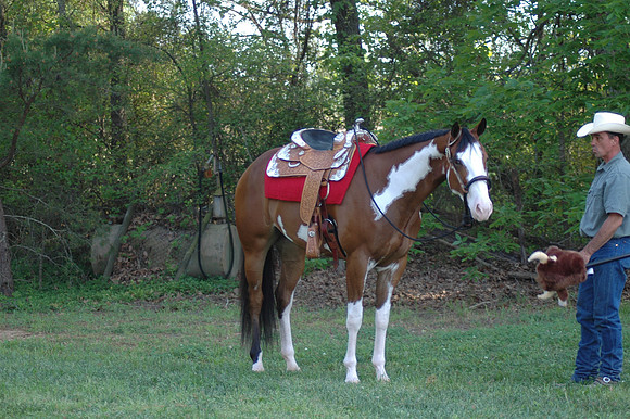 DSC_0043.JPG