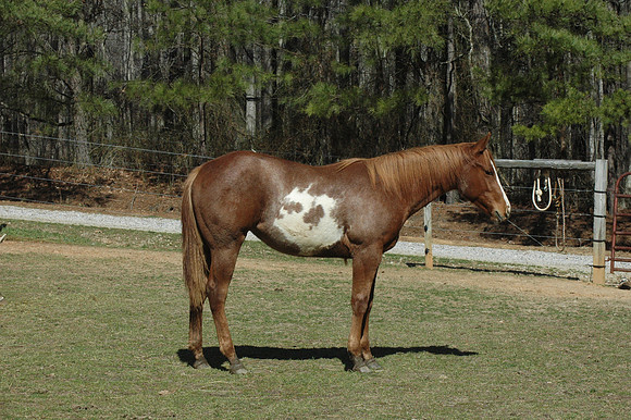 DSC_1658.JPG